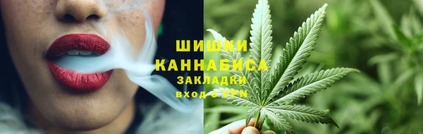 мдпв Богородск