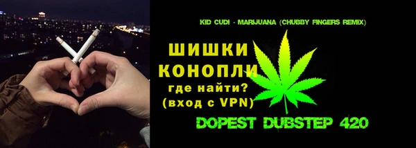 мдпв Рославль