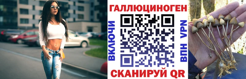 MEGA ссылки что такое наркотик Белореченск Псилоцибиновые грибы Cubensis